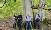 ارزیابی ظرفیتهای پژوهشی ذخیرهگاه جنگلی راش قزلق