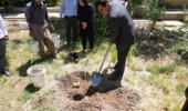 در باغ گیاهشناسی واقع در ساختمان شماره یک جهاد کشاورزی در خیابان آیتالله حیدری انجام شد