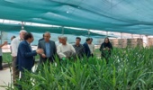 در سفر رییس موسسه تحقیقات گیاهپزشکی کشور به استان قزوین؛