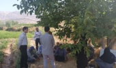برگزاری دوره آموزشی بهرهبرداران صیفیکار