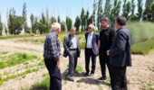 نقش‌آفرینی «پایگاه سامیان» در حفاظت از تنوع زیستی و توسعه فناوری‌های گیاهان دارویی