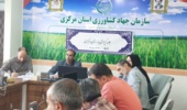 راهکارهای تقویت تولید و توزیع بذر گواهی‌شده در کمیته فنی بذر استان بررسی شد