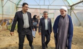 بازدید اعضای کمیته برنامهریزی آموزش های مهارتی مددجویان زندان استان مرکزی از گلخانههای کشاورزی بنیاد تعاون زندانیان