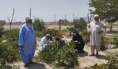دوره آموزشی «طراحی و احداث باغات»