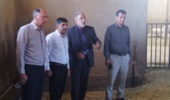 گامهای بلند «ایستگاه تحقیقاتی بلداجی» در مسیر امنیت غذایی و رونق دانشبنیان کشاورزی
