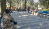 برگزاری دوره مهارت‌آموزی کاشت و پرورش درختان مثمر برای پرسنل وظیفه سپاه پاسداران انقلاب اسلامی شهرستان خرم‌آباد
