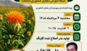 تولید بذر اصلاح شده گلرنگ؛ شاه‌کلید پایداری تولید در اراضی دیم و مقابله با تنش‌های محیطی