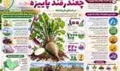 پژوهشگران مرکز تحقیقات کشاورزی کرمانشاه؛ سربازانِ بیادعایِ امنیت غذایی