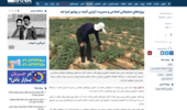 پروژه‌های تحقیقاتی اصلاحی و مدیریت آبیاری کنجد در بوشهر اجرا شد