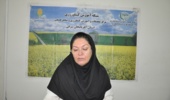 برای احیای اکولوژیکی و کنترل گرد و غبار نمکی در حوضه دریاچه ارومیه