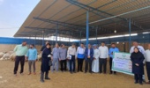 اصلاح نژاد؛ مسیر کم‌هزینه افزایش بهره‌وری گله‌های گوسفند خوزستان