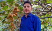 برآورد رشد بهره وری عوامل موثر بر تولید کیوی مازندران توسط پژوهشگر پژوهشکده مرکبات و میوه‌های نیمه‌گرمسیری