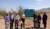 بازدید مسئولان مؤسسه ملی ژنتیک از کلکسیون‌های سنجد و انگور مرکز سمنان (شاهرود)