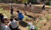 کارگاه آموزشی پرورش زعفران با هدف توسعه آموزش‌های مهارتی و انتقال دانش کاربردی کشاورزی، با حضور فراگیران و دانش‌آموزان در پردیس آموزش کشاورزی سقز برگزار شد.