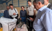 تولید بذر جو مناسب مالت در شهرضا؛ ظرفیتی برای توسعه