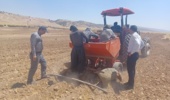 رشد ۲۳۳ درصدی تولید بذر سیبزمینی در استان ایلام