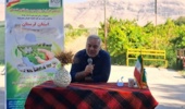 تحلیل و بررسی جایگاه الگوی کشت ملی در لرستان: ضرورت همافزایی دانش پژوهشی و مدیریت بهزراعی در مزارع پیشرو