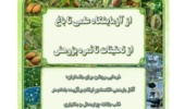 از پژوهش تا باغ؛ آینده بادام چهارمحال و بختیاری در مسیر دانش و امید