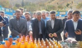 پنل تخصصی رویداد دانش‌بنیان سیب شیروان، امروز در محل هتل رضا شیروان برگزار شد