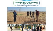 از مدیریت علفهای هرز پیشکاشت تا ضدعفونی بذور؛ توصیههای تخصصی «پیرزادی» و «دالوند» برای جهش تولید در مزارع کلزای لرستان