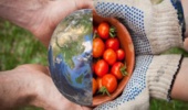 نسخه نجات امنیت غذایی کاهش وابستگی دام و طیور به نهادههای وارداتی