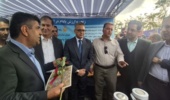 حضور سفیر هند و هیات همراه در غرفه نمایش دستاوردهایپژوهشی در حوزه بادام مرکز تحقیقات کشاورزی استان