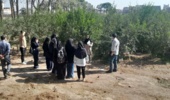 بازدید دانشجویان رشته باغبانی دانشگاه اراک از پردیس تحقیقات و آموزش انار ساوه