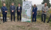 کشت و توسعه شیرینبیان؛ راهکاری برای کاهش فشار بر رویشگاههای طبیعی و افزایش رونق اقتصاد روستایی