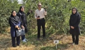 بازدید نمایندگان مرکز ملی مدیریت منابع ژنتیکی و مؤسسه تحقیقات علوم باغبانی از کلکسیون ژرم‌پلاسم انار ایران در ساوه