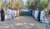 برگزاری برنامه ترویجی روز مزرعه کنجد با محوریت معرفی ارقام در شهرستان دلگان، سیستان و بلوچستان