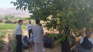 برگزاری دوره آموزشی بهره‌برداران صیفی‌کار