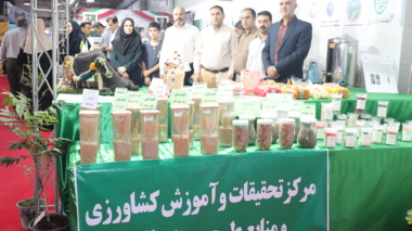 از «تولید بذر و اصلاح نژاد دام» تا «تربیت کشاورزان آینده»؛ روایت دستاوردهای صفی‌آباد در مسیر امنیت غذایی