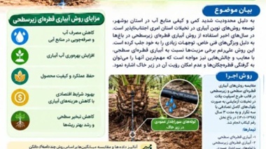 آبیاری قطره‌ای زیرسطحی در نخلستان