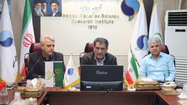 نقشه راه ملی ارتقای بهره‌وری در صنعت میگو ترسیم شد / گذار از «کنترل بیماری» به «مدیریت ژنتیک»