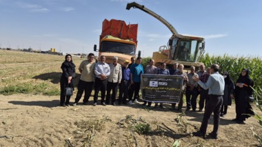 ثبت عملکرد حدود ۹۰ تن در هکتار در مزرعه الگویی ذرت علوفه‌ای در روستای مرزیجران اراک