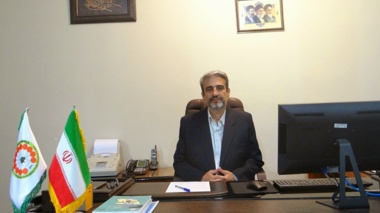 برداشت و پس از برداشت آووکادو؛ از تشخیص زمان مناسب برداشت تا حفظ کیفیت میوه