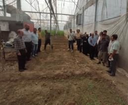 برگزاری اولین جلسه از سایت الگویی گلخانه شهرستان ری