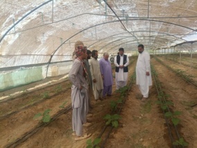 دوره آموزشی «احداث گلخانه» برای کشاورزان خاش