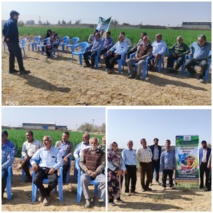 تطبیق کشاورزی یزد با رویکرد تغذیه تکمیلی و تغییر ارقام