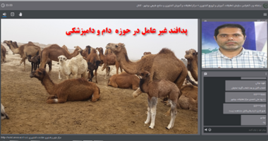 برگزاری سخنرانی علمی پدافند غیر عامل در حوزه  دام و دامپزشکی