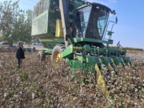 پهپادها و هورمون‌های برگ‌ریز، کلید توسعه کشت پنبه در مغان