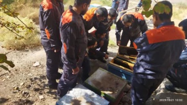 دوره آموزشی پرورش زنبورعسل