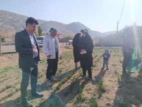 ارتقای دانش کشاورزان سلسله‌ای با برگزاری دوره آموزشی «آشنایی با آفات و بیماری‌های زعفران»