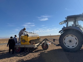 کارگاه مزرعه‌ای کاشت ارقام غلات دیم و محصولات تناوبی در مزرعه نوآوری مجدآباد نو