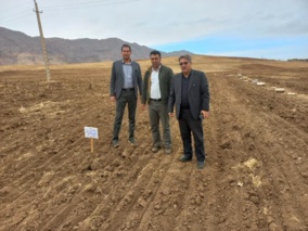 بازدید مدیریتی از طرح نوین PNT؛ گامی تازه در ارتقای عملکرد گندم دیم لرستان