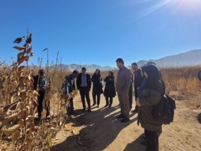 دوره آموزشی اهمیت انتخاب پایه و رقم مناسب نهال در شازند برگزار شد