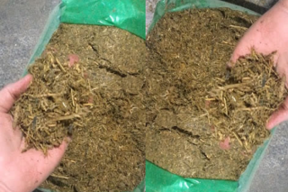 سیلاژ خوراک کامل؛ روشی نوین برای افزایش بهره‌وری در تغذیه دام‌ها است