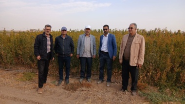 بازدید کمیته فنی نهال استان مرکزی از نهالستان‌های شهرستان ساوه