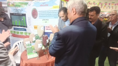 رونمایی از ۶ رقم جدید لوبیای معرفی شده توسط پردیس تحقیقات و آموزش لوبیای خمین