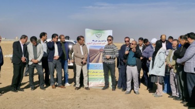 برگزاری روز مزرعه کشت گندم بر روی بسترهای بلند با آبیاری نواری تیپ در شهرستان اراک